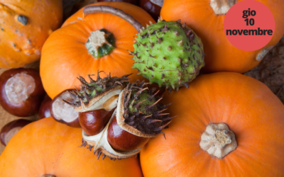 L’Autunno a Tavola